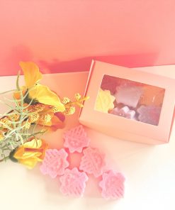 5 stuks  Waxmelts-Sauvagus  (6)