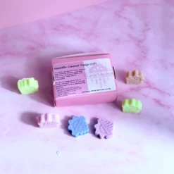 Waxmelts Coconut Papaja  (10B)